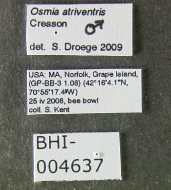 Media type: image;   Entomology 610944 Aspect: labels